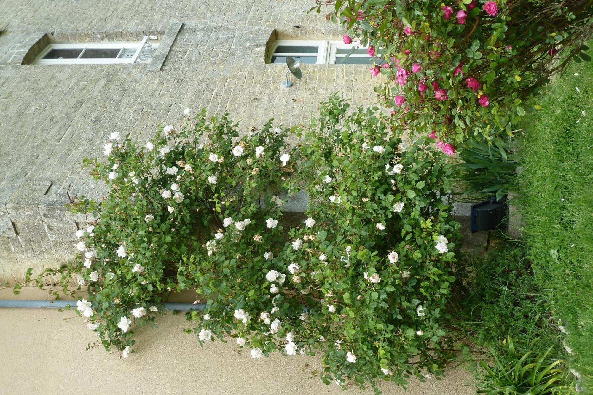 B&B L'Atelier Du Presbytere Saint-Maugan Экстерьер фото